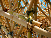 Bambuskonstrukrion
